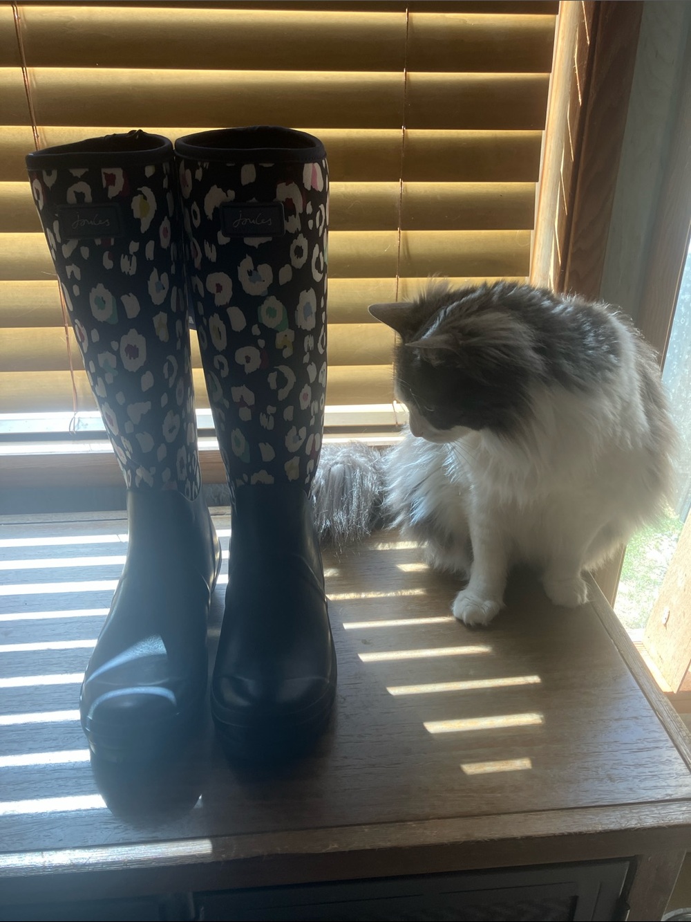 NEW JOULES Navy Leopard Tall Rain 1” Heeled BOOTS Size 8, 39 European